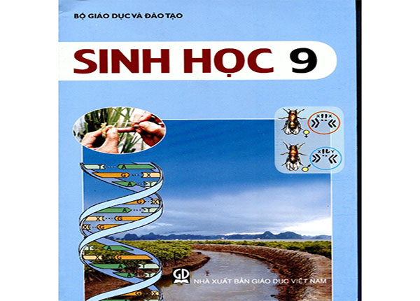 Học Sinh lớp 9 nên làm gì để học tốt môn Sinh học?