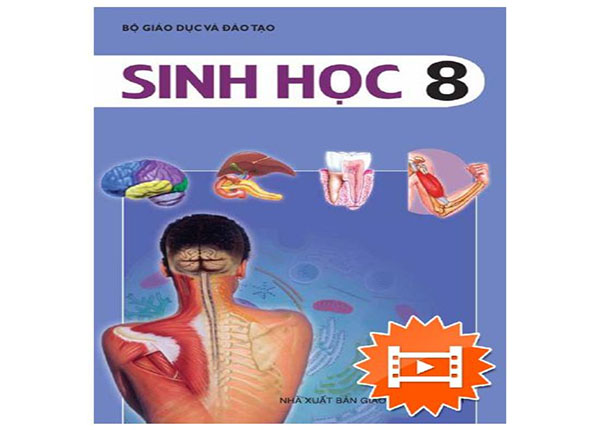 Hướng Dẫn Kiếm Điểm Cao Trong Kiểm Tra Miệng Môn Sinh Học 8