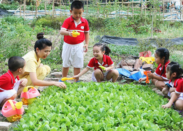 Tham gia hoạt động ngoại khóa trồng rau xanh